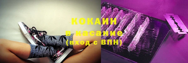 шишки Аркадак