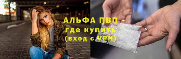 шишки Аркадак