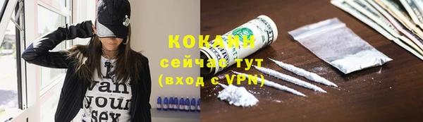 шишки Аркадак