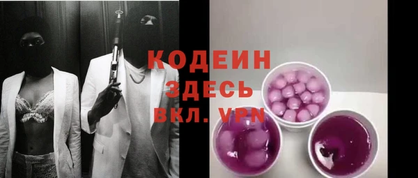 шишки Аркадак
