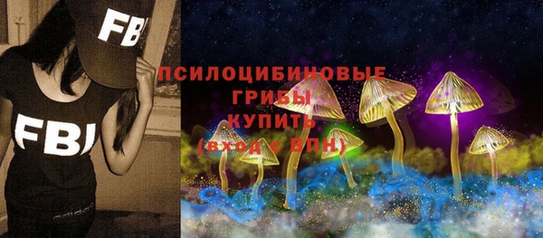 ALPHA-PVP Богородицк