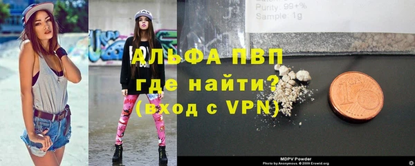 шишки Аркадак