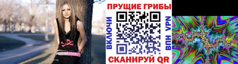 Псилоцибиновые грибы мицелий  гидра онион  Можга 