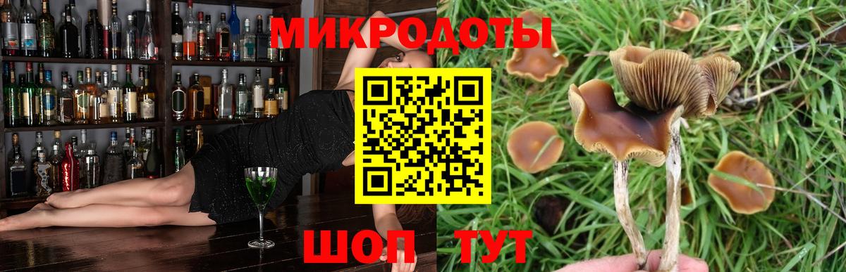 Псилоцибиновые грибы GOLDEN TEACHER  Вход с VPN  Галлюциногенные грибы MAGIC MUSHROOMS  Можга 