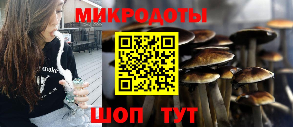 Галлюциногенные грибы GOLDEN TEACHER Можга